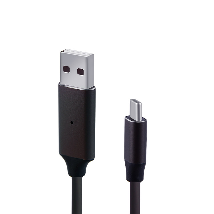 Voice Control LED Glowing USB Cable